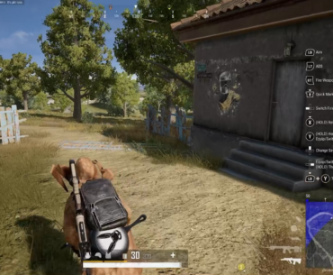 GRADE A PURE PUBG BS