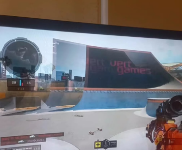 Loving the bo4 bugs