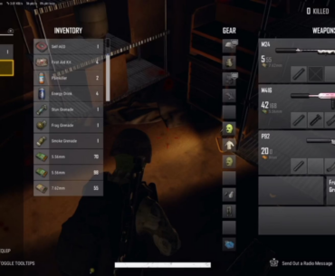Nasty Snipe with holosight