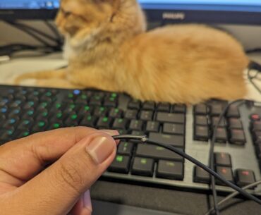 My cat chewed my G502 cable until it is not always working. Should I put it to rest?