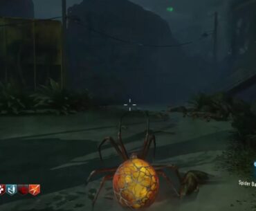 Can we stop arguing about MW3 zombies and just appreciate how great the spider bite Easter egg on zetsoubo no shima is?