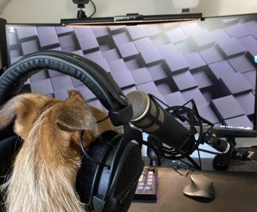 My dog joined the masterrace