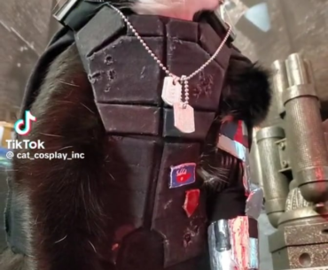 JOHNNY SILVERPAW