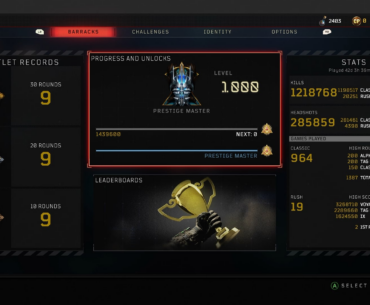 Wrapped up DM for all BO4 Weapons + all MKII Variants