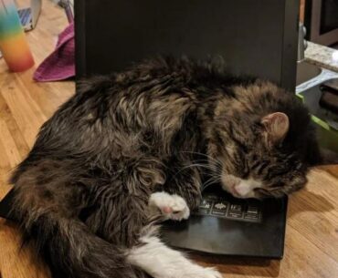 I just lost Orion, an old gaming friend. To keep yourself warm until our next meeting, grab a heated lap or laptop. I cherish you.
