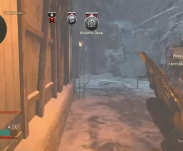 9 kill streak with the hydra!