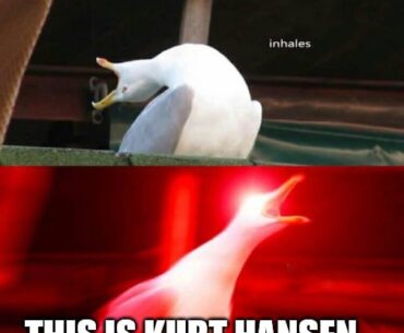 Dogtown speakers when there's a moment of peace and quiet