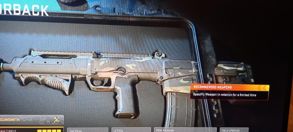 Bug in the new update