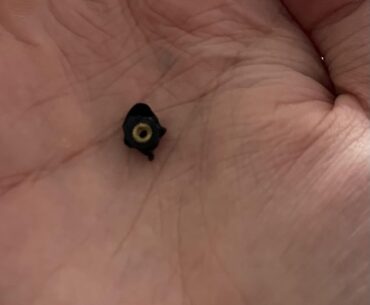 My laptop was making an awful noise. I took off the back panel and this fell off. Now the sound is gone. What is this? (Lenovo Y540)