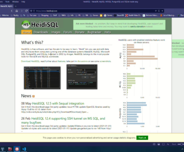 This is why I won't disable my adblock ever again