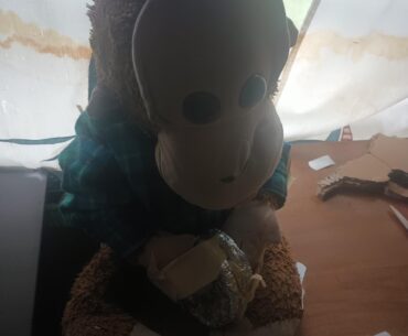 Mr.Monkey as a Monkey Bomb