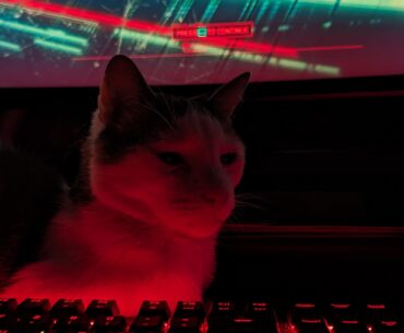 Cybercat 2077: Phantom Libpurrrrrty