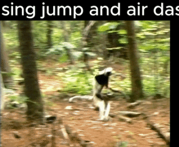 Jumping around like a methed up lemur is better than walking