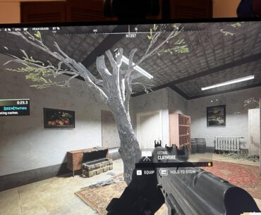 Cool tree, bro…