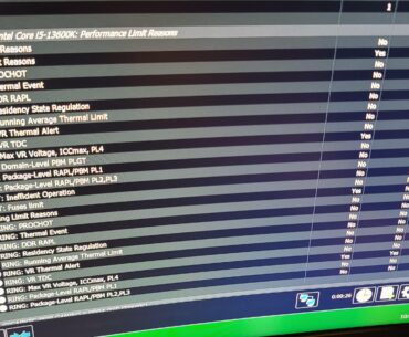 Have these limits showing yes in HWINFO after Bios update...can't remember if they were there before or not...13600k