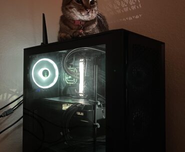 Lil girl loves the warmth