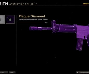 (CWZ) love how there isn't a single mastery skin that doesn't look like absolute garbage