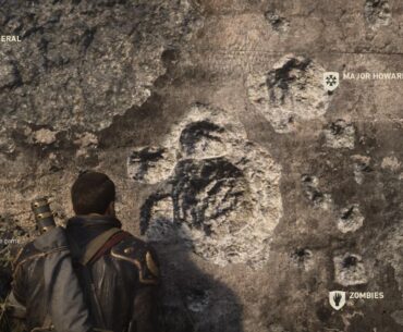 Ok, who threw a turtle at this bunker?