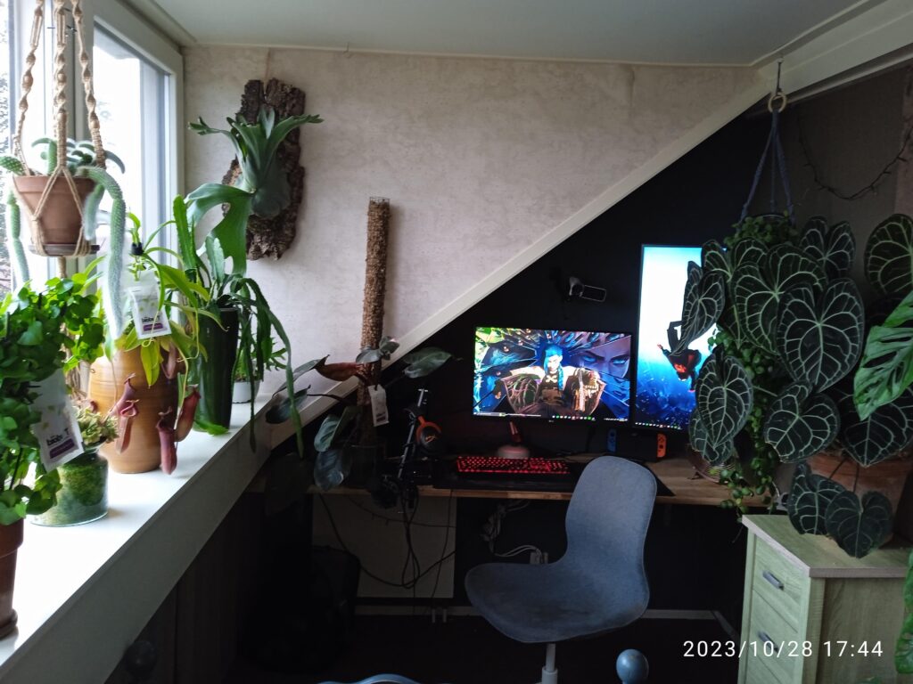 The plants are for higher FPS obviously