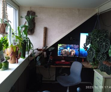 The plants are for higher FPS obviously