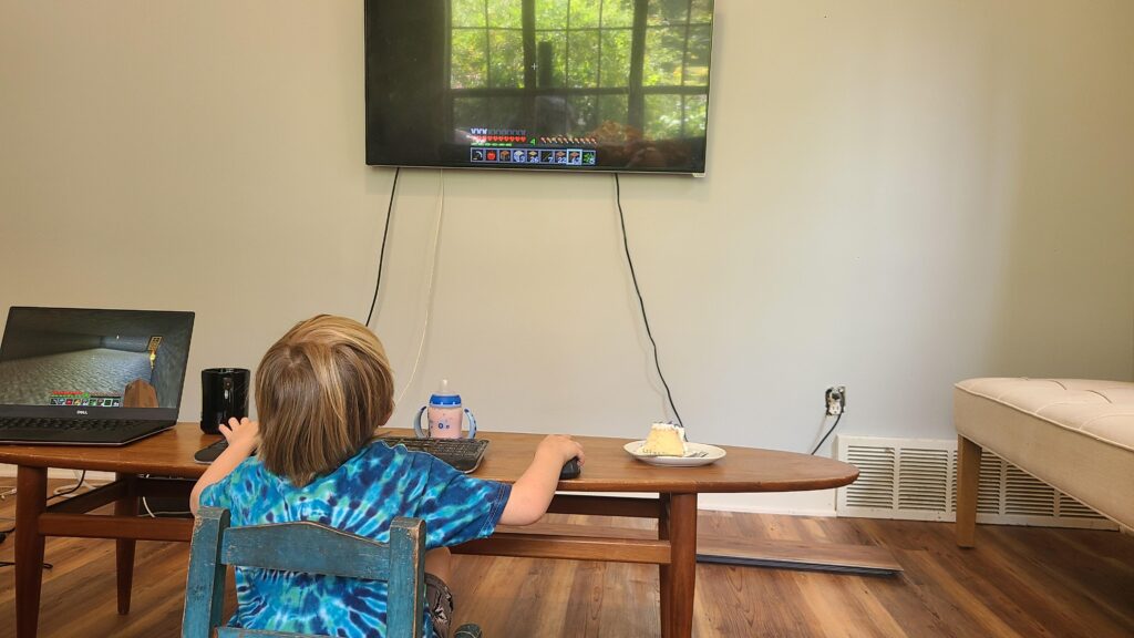 My baby brother's current minecraft setup