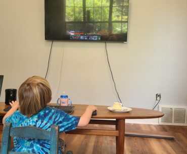My baby brother's current minecraft setup