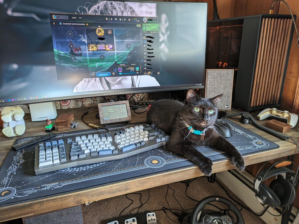 Had my cat for 4 years, this is the first time she's sat near my PC. Does that mean I'm finally a real gamer?