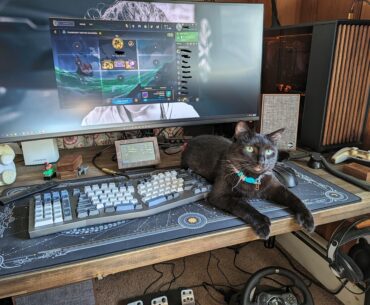 Had my cat for 4 years, this is the first time she's sat near my PC. Does that mean I'm finally a real gamer?