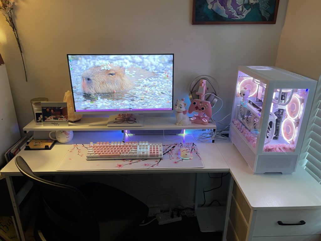 Girlfriend wanted to build her own PC after seeing mine so here’s her first battlestation