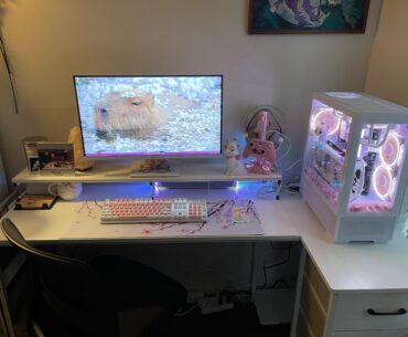 Girlfriend wanted to build her own PC after seeing mine so here’s her first battlestation