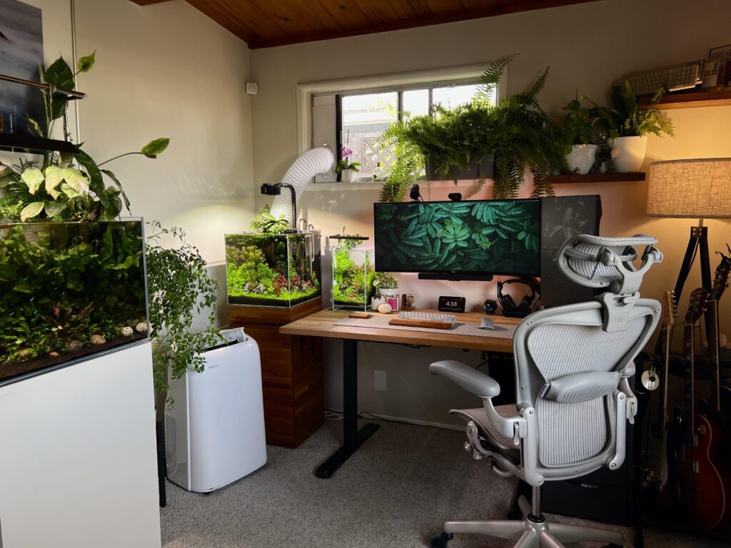 I like plants