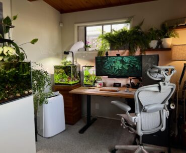 I like plants