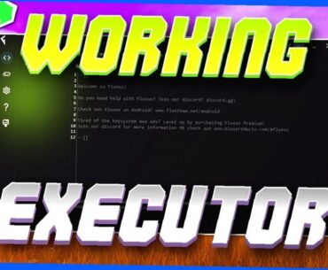 Nezur: Undetected Free Roblox Executor | Keyless Exploit Level 9-10