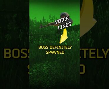 NOOB Way To Kill Shturman (AGAIN)  #escapefromtarkov