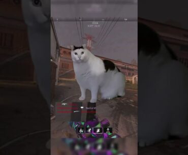 ENEMY kept saying I was HARDSCOPING BUT...