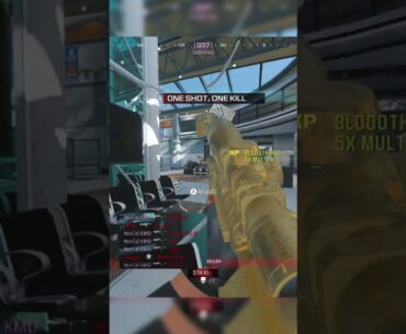 I USED THE "KATT-AMR" in Modern Warfare 3...