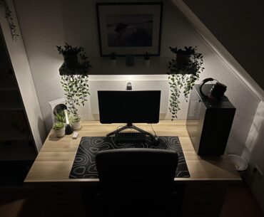 Slowly improving... Any ideas what light source I should use above the shelf?
