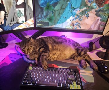 He thinks he is helping