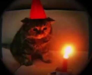 Today iz ma birthday 🎈