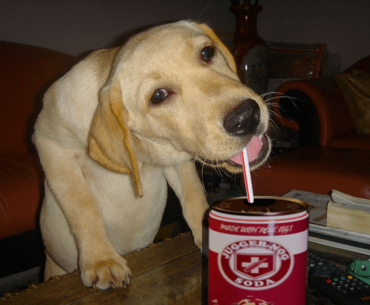 we drink jugg tonight fellas