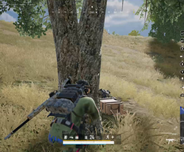Dinners