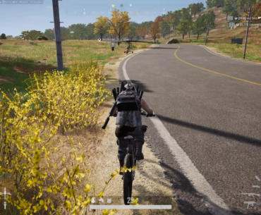 Teamkilling getting out of hand