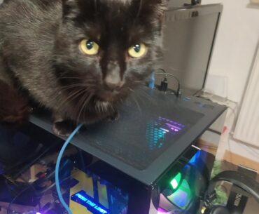 He's testing my new cases cooling capacity