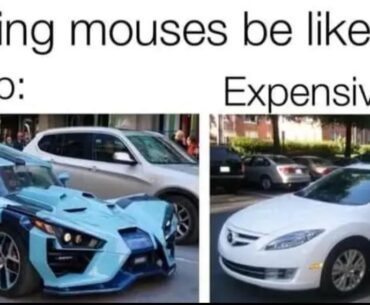 Cheap or expensive?