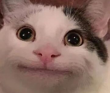 Me when I just used all of my schematics for a grind session and the game ends 5 minutes into the match behing pulled into this Dr Jansen Bullshit