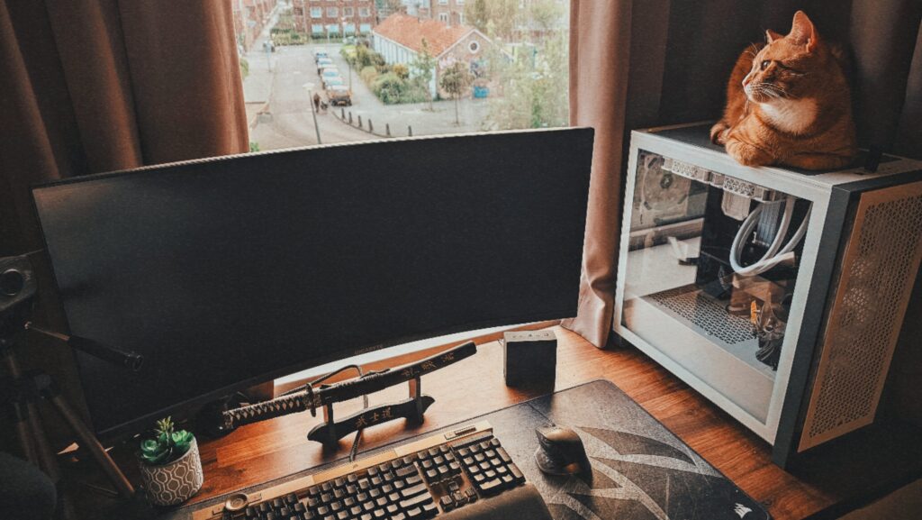 New place, new cozy build to prepare for the winter.