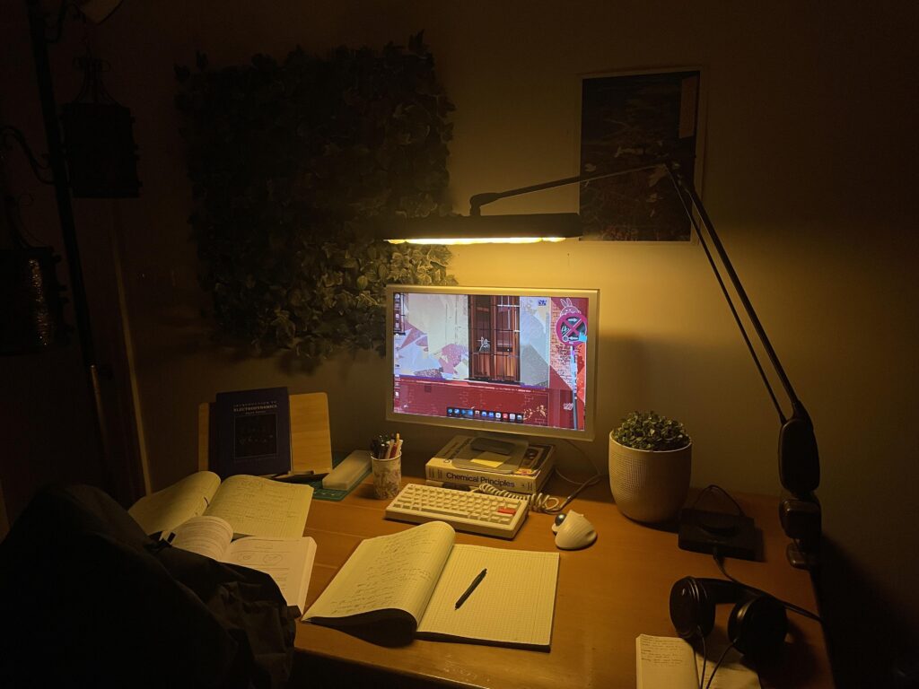 A more unique entry: A desk for study.