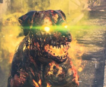 Best name yet. What’s your favorite so far? 👹🐶