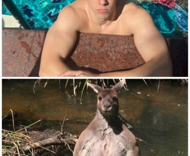 I thought I'd make one too.