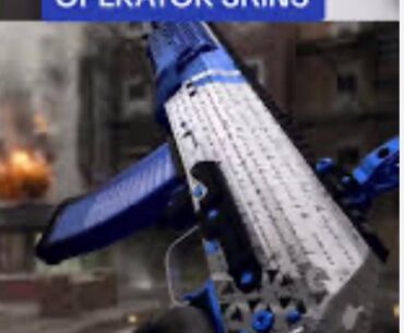 Anybody know what the vault edition gun (s) skins read?